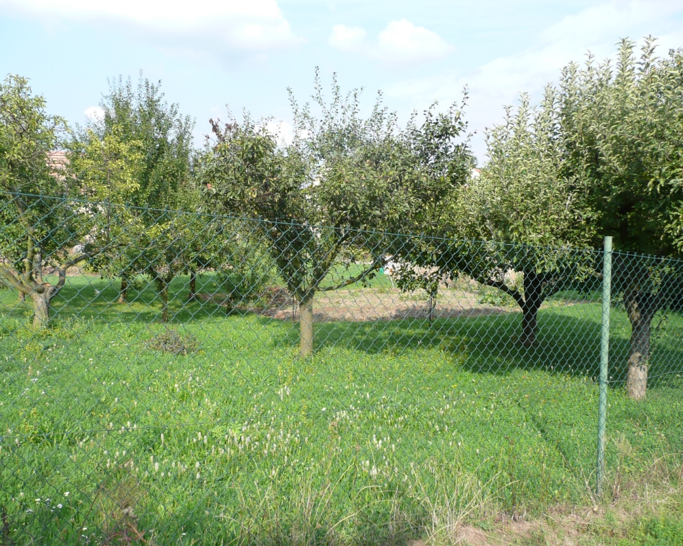 Pozemek Kojátky - PRODÁNO